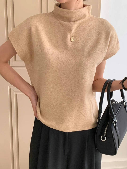 Turtle Neck Knit Top